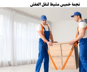 شركة نقل عفش أبها